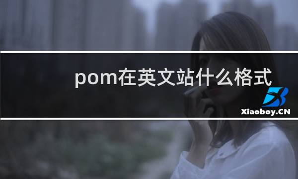 pom在英文站什么格式