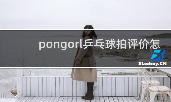 pongorl乒乓球拍评价怎样
