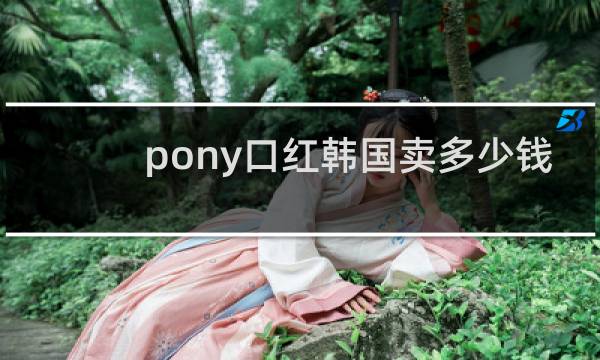 pony口红韩国卖多少钱