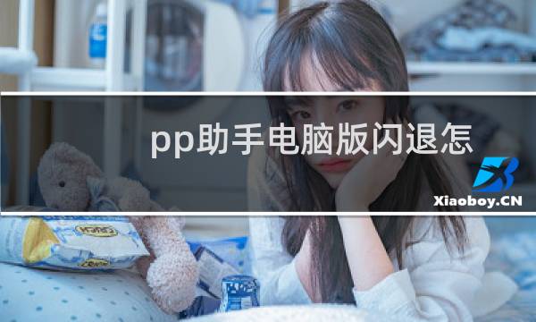 pp助手电脑版闪退怎么办