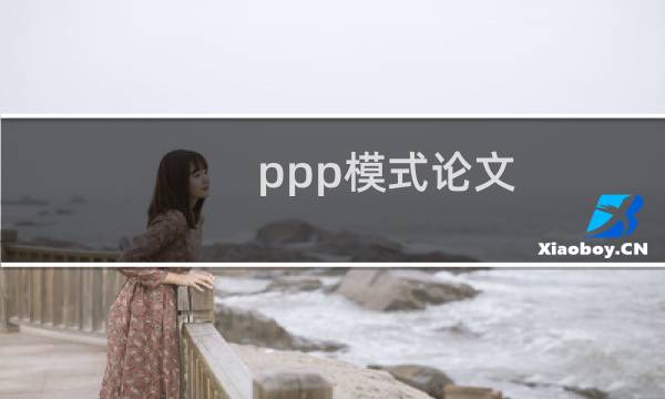 ppp模式论文