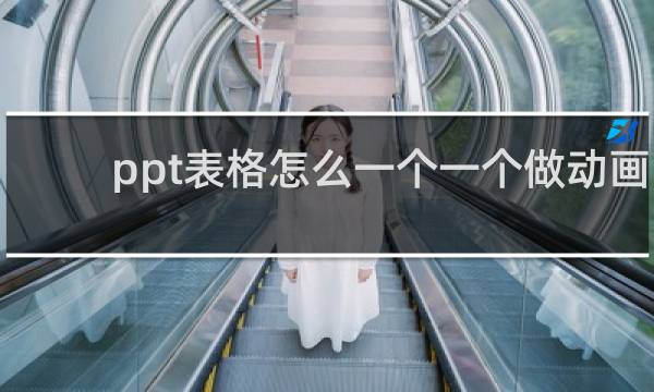 ppt表格怎么一个一个做动画