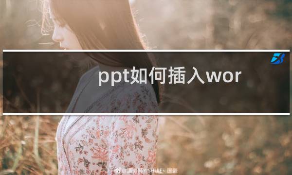 ppt如何插入word图表