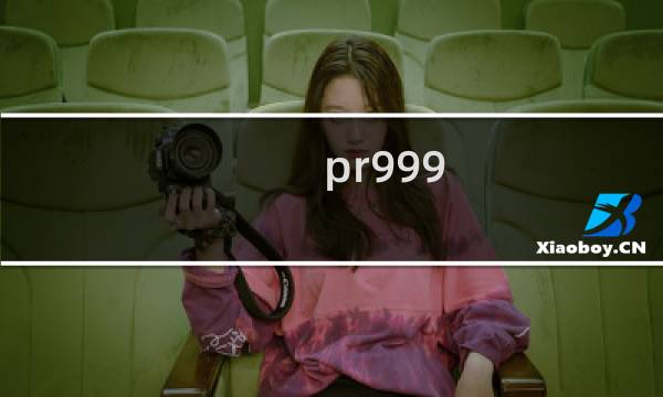 pr999 价格