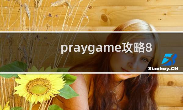 praygame攻略8