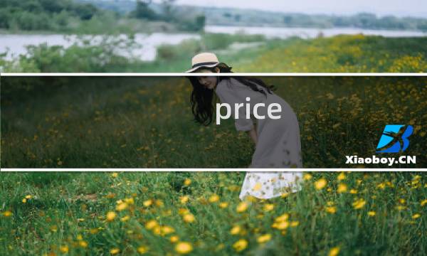 price 图文攻略