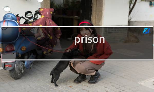 prison breakout攻略