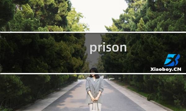 prison vr攻略