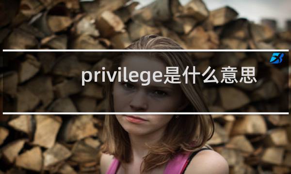 privilege是什么意思 privilege什么意思什么梗