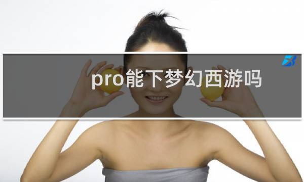pro能下梦幻西游吗
