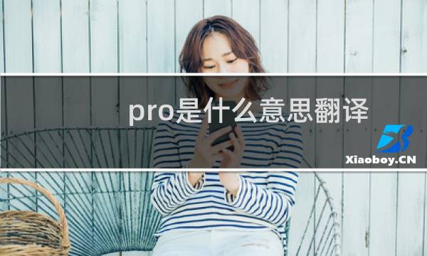 pro是什么意思翻译中文（pro是什么意思）图片