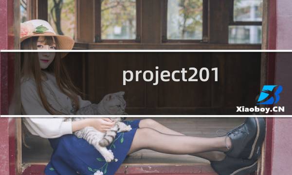 project2010使用教程