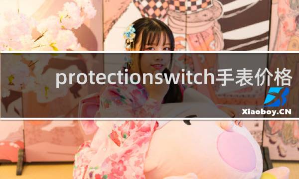 protectionswitch手表价格