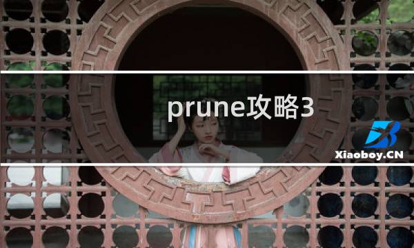prune攻略3.8
