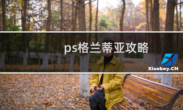 ps格兰蒂亚攻略