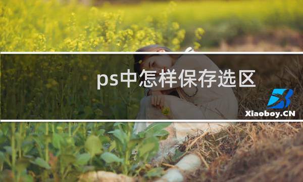 ps中怎样保存选区