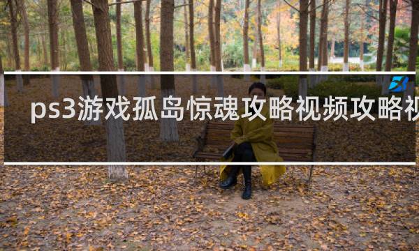 ps3游戏孤岛惊魂攻略视频攻略视频