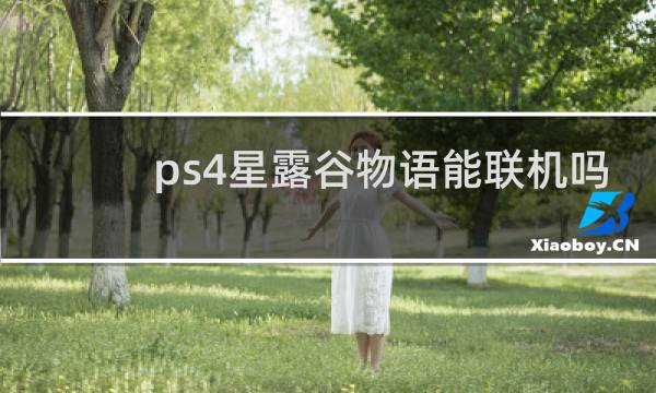 ps4星露谷物语能联机吗