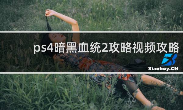 ps4暗黑血统2攻略视频攻略