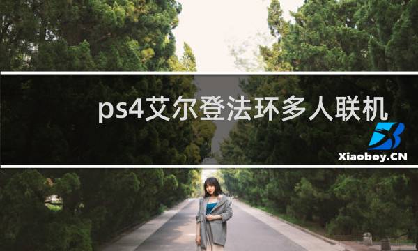 ps4艾尔登法环多人联机