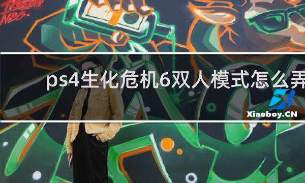 ps4生化危机6双人模式怎么弄