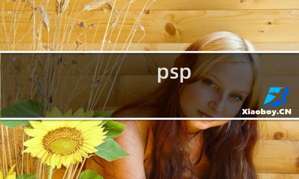 psp ds 价格