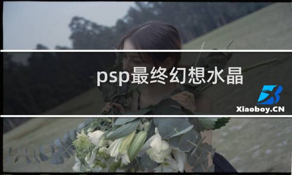psp最终幻想水晶