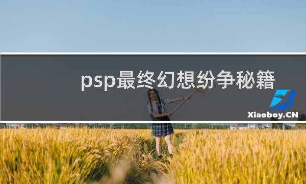 psp最终幻想纷争秘籍