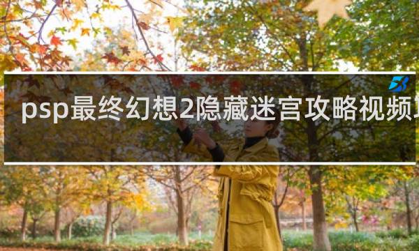 psp最终幻想2隐藏迷宫攻略视频攻略