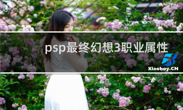 psp最终幻想3职业属性