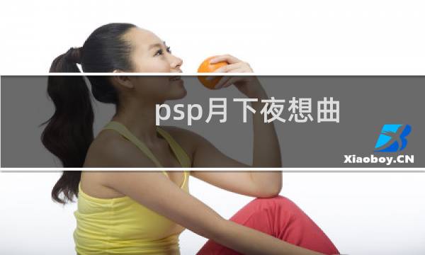 psp月下夜想曲 攻略
