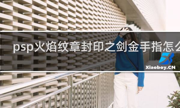 psp火焰纹章封印之剑金手指怎么用