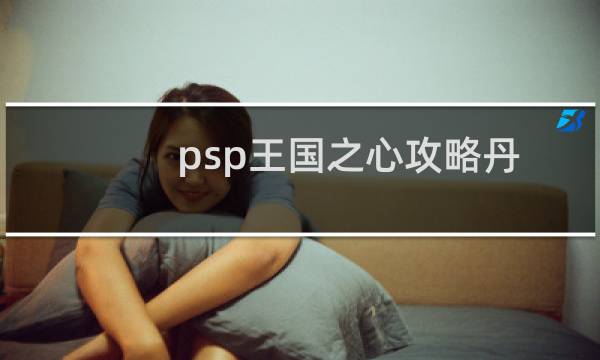psp王国之心攻略丹