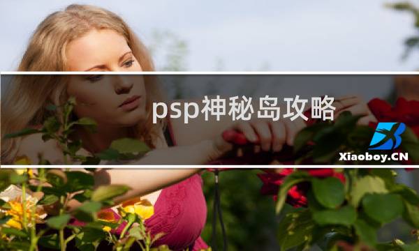 psp神秘岛攻略