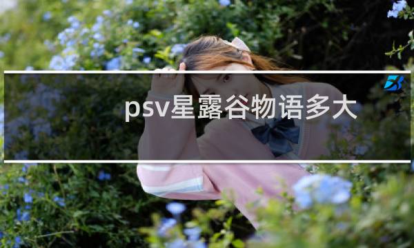psv星露谷物语多大