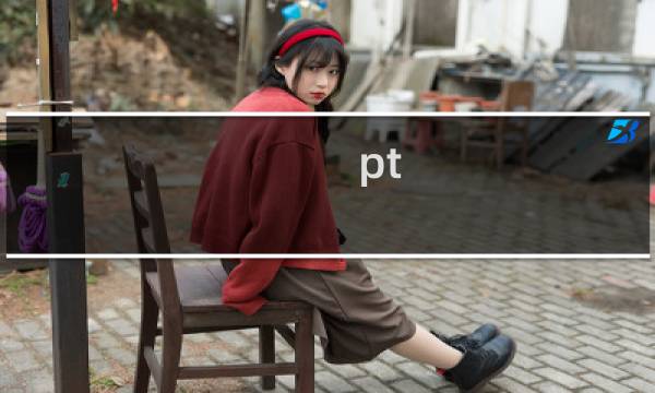 pt 王座攻略