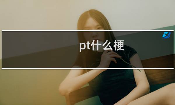 pt什么梗