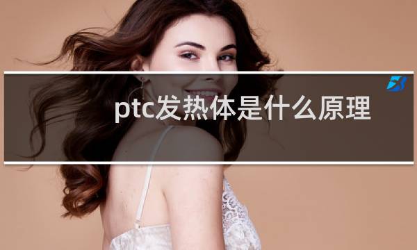 ptc发热体是什么原理图片