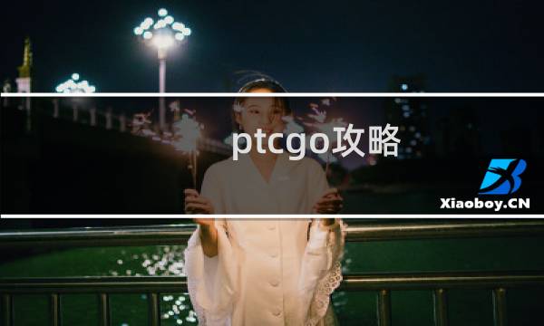 ptcgo攻略