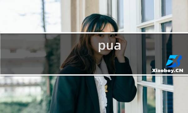 pua 攻略