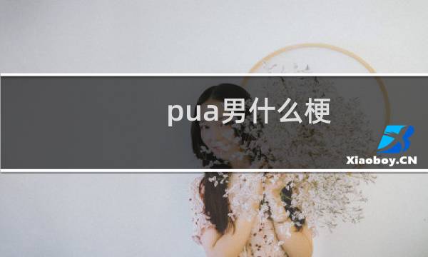 pua男什么梗