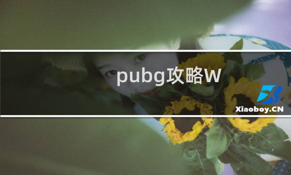 pubg攻略W