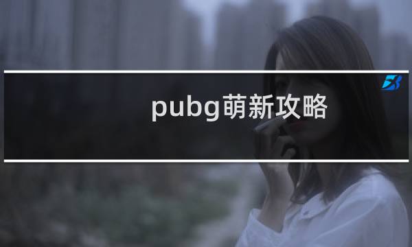 pubg萌新攻略