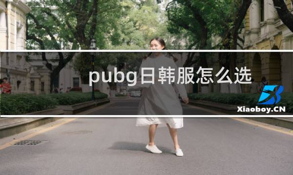 pubg日韩服怎么选