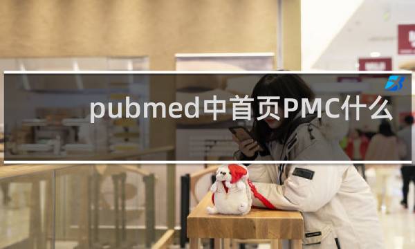 pubmed中首页PMC什么