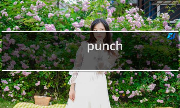 punch line攻略