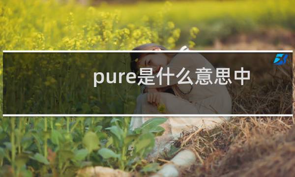 pure是什么意思中文怎么读(pure是什么意思)
