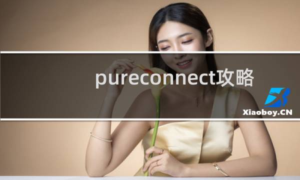 pureconnect攻略