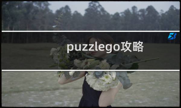puzzlego攻略