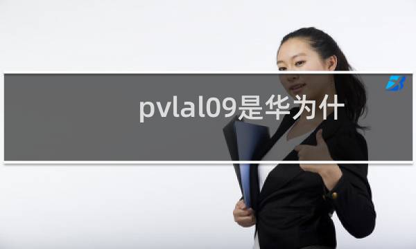 pvlal09是华为什么手机